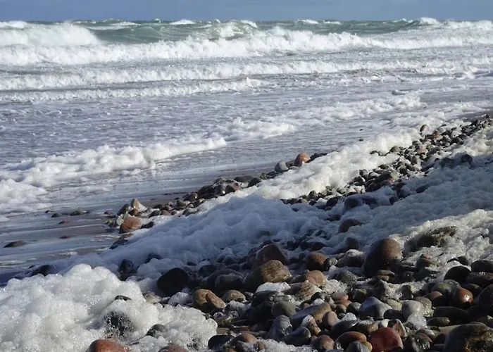 4 Person In Graested-by Traum