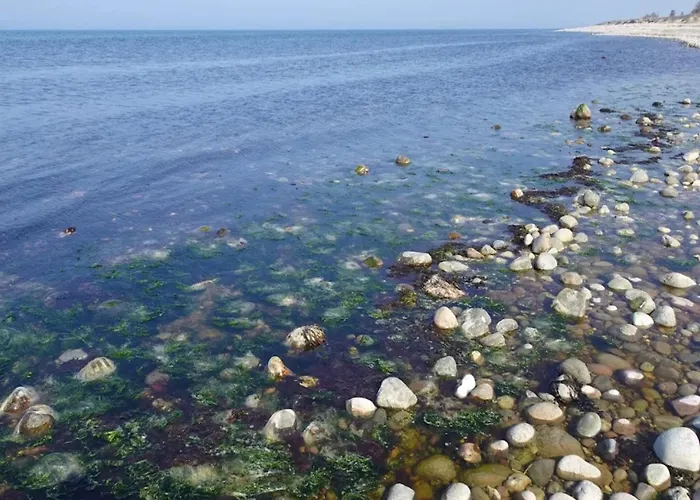 Holiday home 4 Person In Graested-by Traum