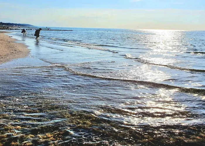 4 Person In Graested-by Traum Græsted